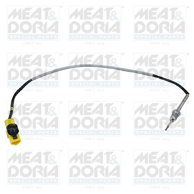 Sensor, exhaust gas temperature
